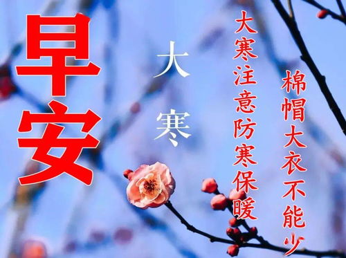 “你说的那句‘月下共舞，情意绵绵’