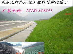 冷知识：发芽率低于85%的别碰！去年河北某工程队验收不过关，光补种就多花5万。