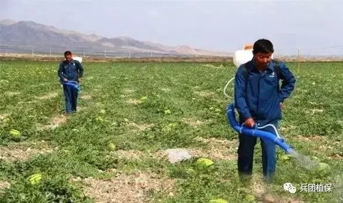 合理混用， 效果geng佳