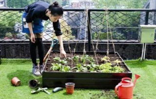 管子种菜，你敢信？