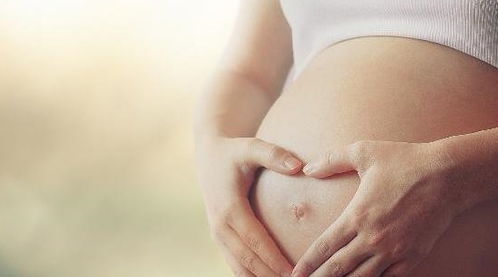 蛋白质，补起来！