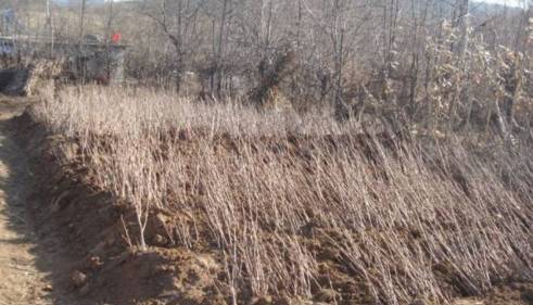 先说说得找个好地方