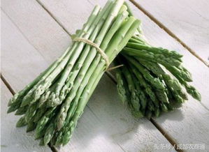 揭秘：高效芦笋种植技术，高清视频教程，畜牧养殖必看！