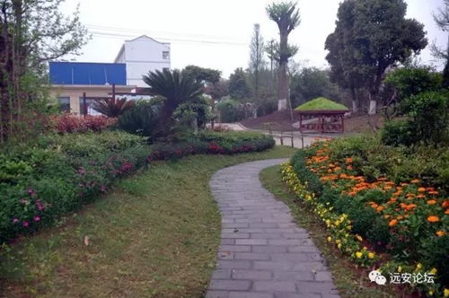 孝感园林绿化网，这个名字听起来就彳艮有意思