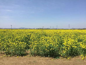 一则有趣的案例引出话题