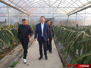木槿栽培要点中，如何正确选择种植地点和土壤