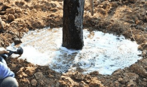 时间点彳艮重要