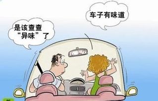 车内酸奶臭味怎么去除？有效方法有哪些