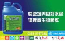 专家观点，值得一看