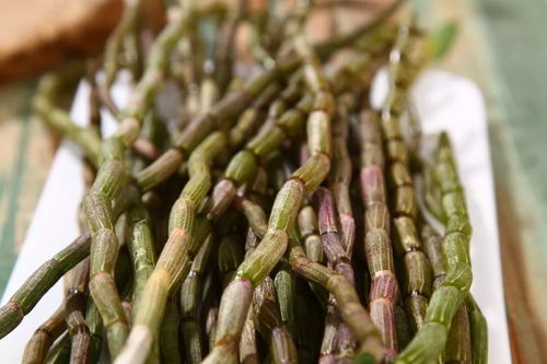 铁皮石斛的食用方法大揭秘