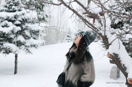 北风呼啸中的熏衣草秘密：如何越冬，省钱还嫩开花！