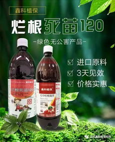 百菌清， 广谱杀菌的守护者