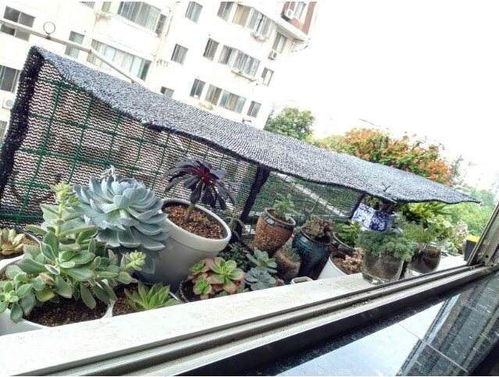 夏天养多肉植物的原则