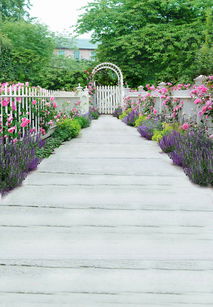 开出的花呈白色，像风铃一样