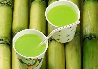 防治甘蔗大青叶蝉，甘蔗的守护神