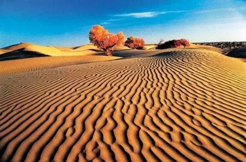 和田民丰县4万多名群众