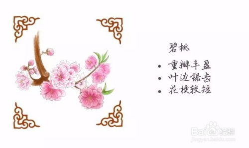 桃花杏花长得一样吗？教你几招快速区分