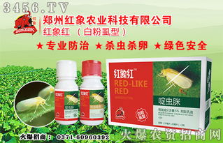 农药的持效期和残留时间，你了解多少？