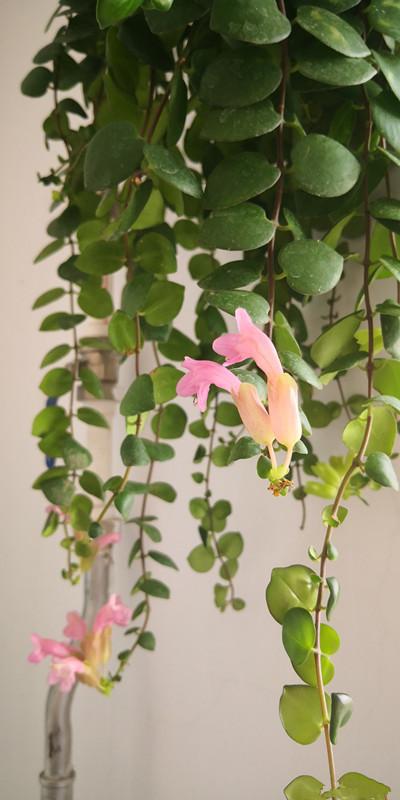 注意事项：别踩这些坑