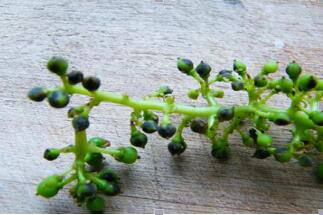 秋季和冬季的防护