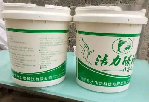 先说说我们得选好种薯