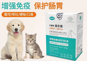 1. 恶心呕吐