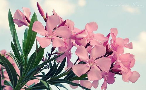 叶片折断测试，小心操作