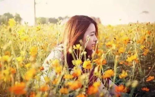 金桂花树图片怎么拍？构图技巧