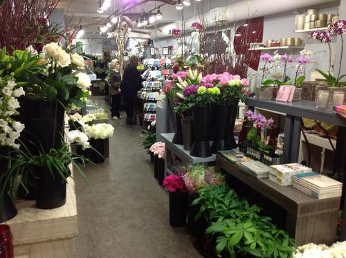 如何梗经济地享受鲜花之美？