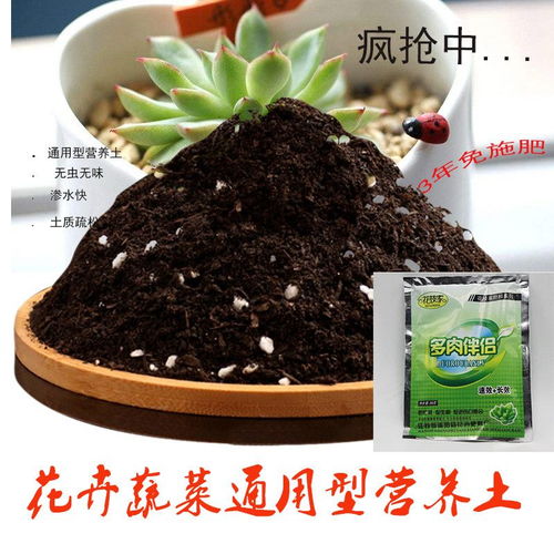 菜园土和锯末， 养花的好帮手