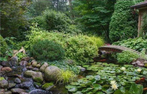 水景之美， 生态之韵