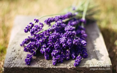 优点多多，缺点也不少