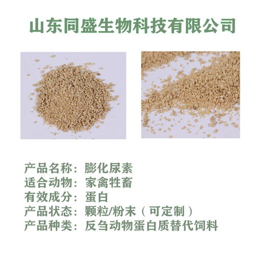 天邦鱼饲料蛋白价格是多少？天邦黄鳝饲料真的好用吗？