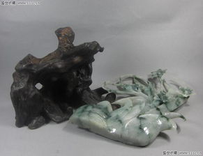 一、 兰花绿翡翠，绿得像仙境