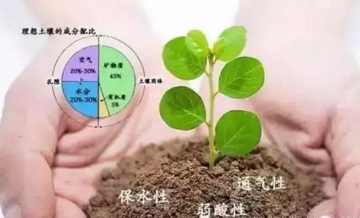 施肥给花为什么没效果？土壤酸碱度是否适宜
