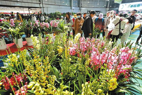 1. 焦作市花卉市场