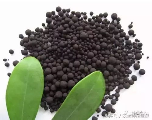 腐植酸肥：土壤守护神