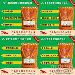 创新饲料配方、优化饲养管理、应用生物技术、推广高效设备、实施精准养殖
