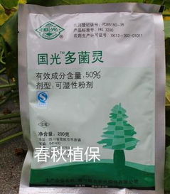 烂根的治疗，多菌灵也行