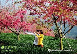 生长周期，影响因素多