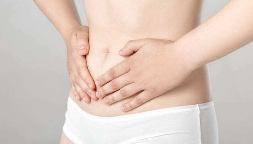 猪肠便秘中西医结合，如何有效缓解症状