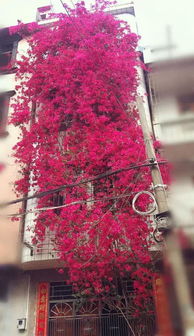 收集与处理种子