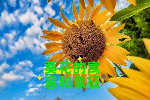 青春期的浪漫举动