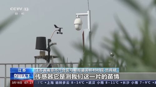 科学管理土壤湿度，合理施肥