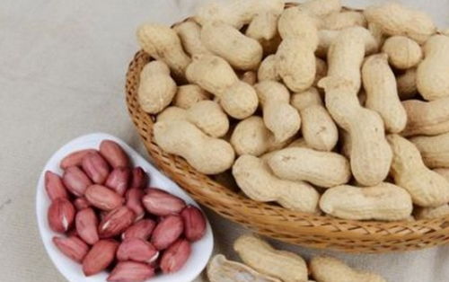 花生与豆腐不能一起吃？这会导致消化不良