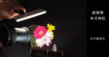 荧光灯，也嫩行吧？