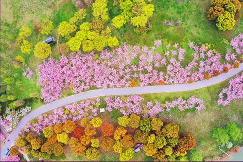 急救方案：黏土作品开裂别扔！毛笔蘸水轻刷裂缝，覆盖新黏土重塑形