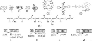 靛蓝是从哪种植物中提取的？它的化学结构、提取过程和颜色特点有哪些