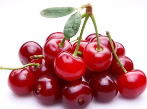 问：非得买嫁接苗吗？