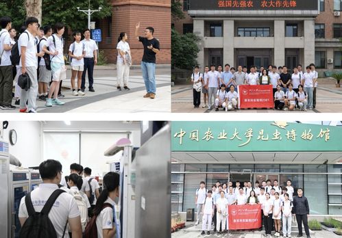 湖南怀化茶油产地：广西农科大学茶油果苗供应联系方式